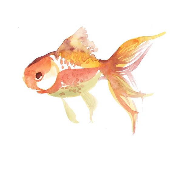 Single fish isolated on white background. watercolor hand drawn — Stock Photo, Image