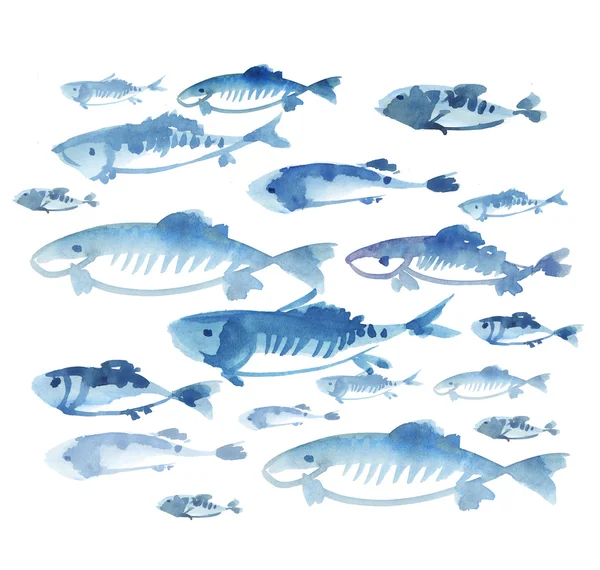 Fischschwärme isoliert auf weißem Hintergrund. Aquarell von Hand gezeichnet i — Stockfoto
