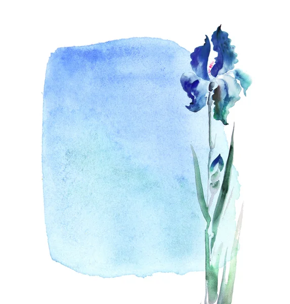 Blue iris flower on sky background. watercolor illustration — Stock Photo, Image