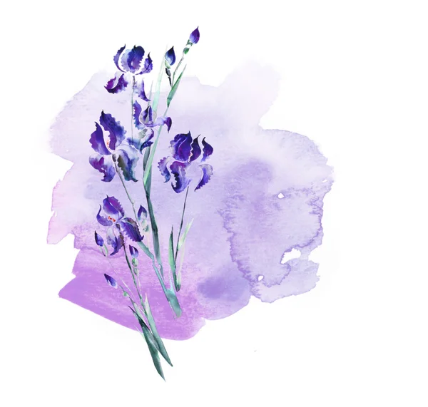 Flores de iris púrpura sobre fondo lila. ilustración de acuarela — Foto de Stock