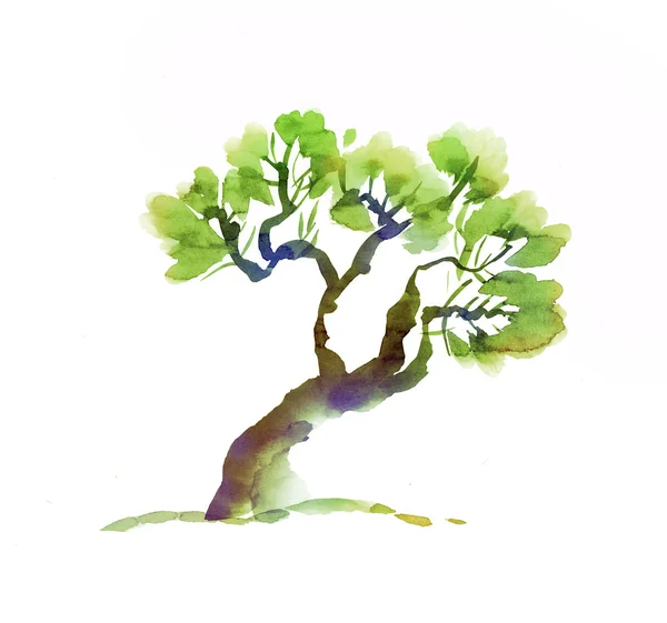 변형된 나무 손으로 그린 이미지입니다. 잉크 그림 — 스톡 사진