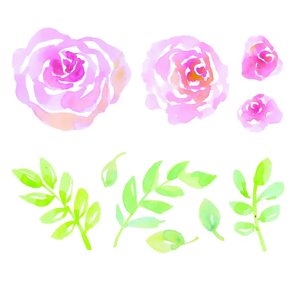 Pale color tender rose flowers elements for design. watercolor h — Stock Photo, Image