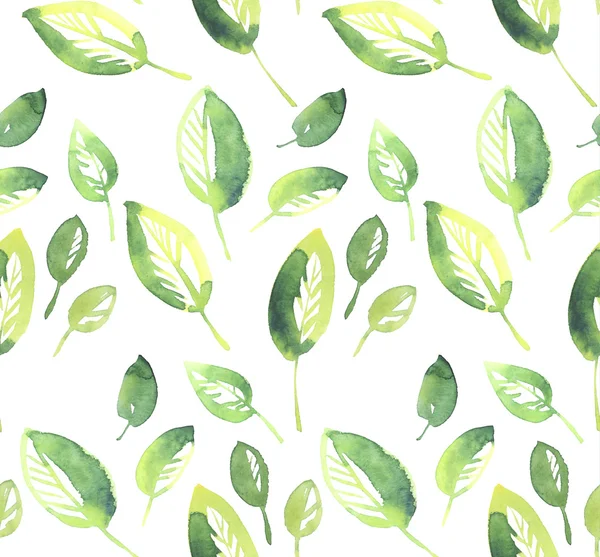 Hojas tiernas verdes patrón sin costura. acuarela mano dibujado illu —  Fotos de Stock