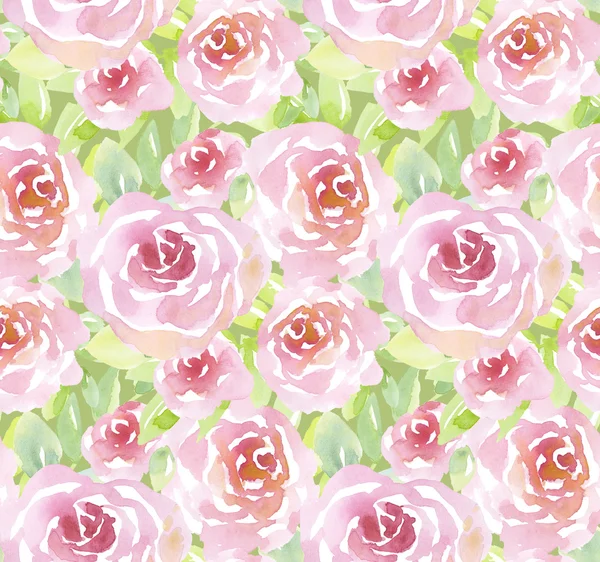 Watercolor rose flowers illustration. pale rosy summer flowers o — Stock Photo, Image