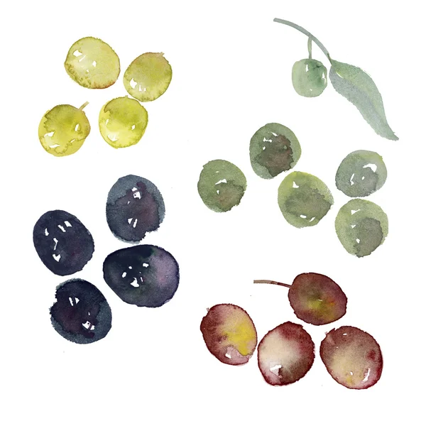 Assorted olives set illustration. watercolor artwork. different — Stock Photo, Image