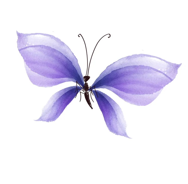 派手なライラックカラー蝶のデザイン要素。手描きのイラスト — ストック写真