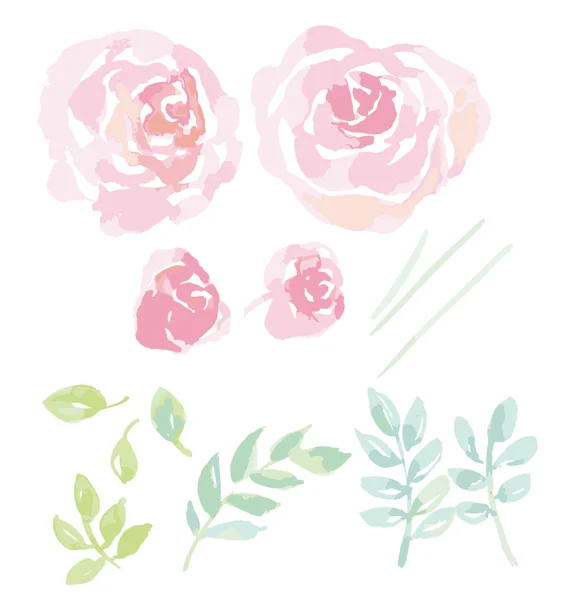 Rosa acquerello fiori kit per il design. acquerello disegnato a mano el — Vettoriale Stock