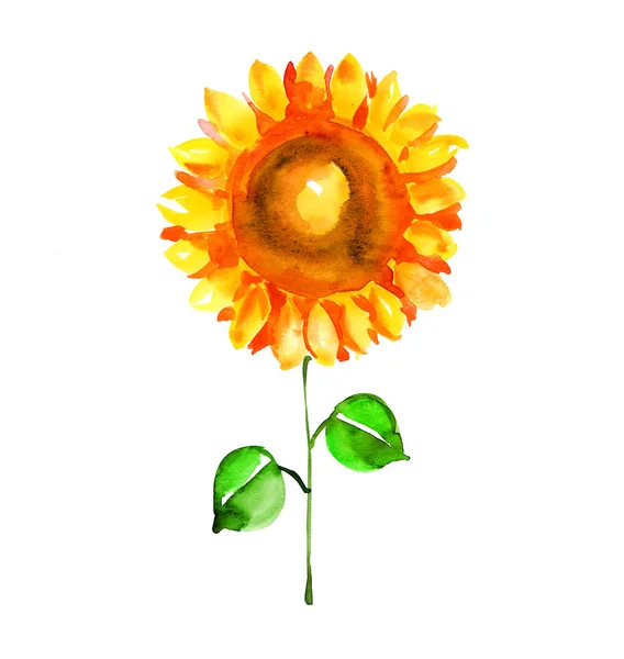 Aquarell-Illustration einer einzelnen isolierten Sonnenblume. Sommer su — Stockfoto