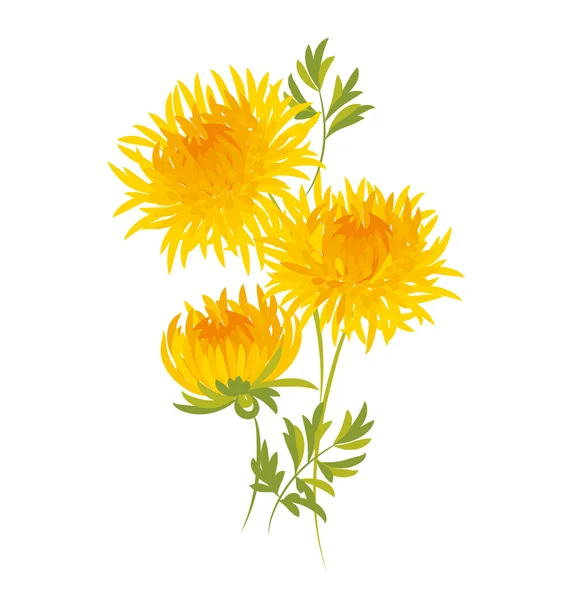 Chrysanthemenblüte im Herbst. Golden-Daisy-Blumen-Vektor-Illustration — Stockvektor