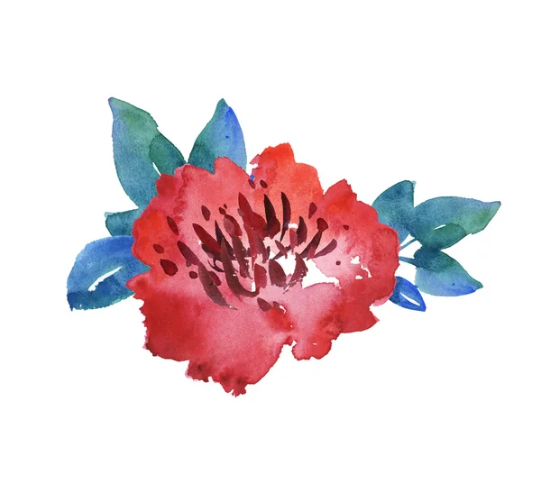Soyut çiçek desen. dekoratif parlak kırmızı çiçek suluboya — Stok fotoğraf