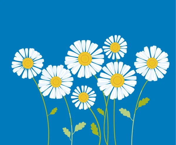 Ilustracja wektorowa rumianek. kwiat białej Margerytki w dekoracyjne — Wektor stockowy