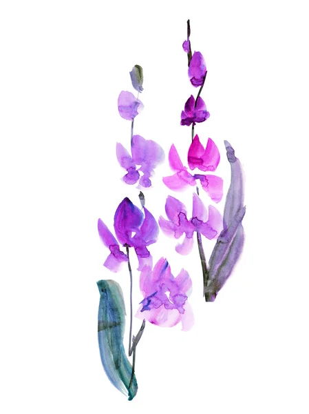 Flor de orquídea desenhada à mão. esboço ilustração aquarela floral . — Fotografia de Stock