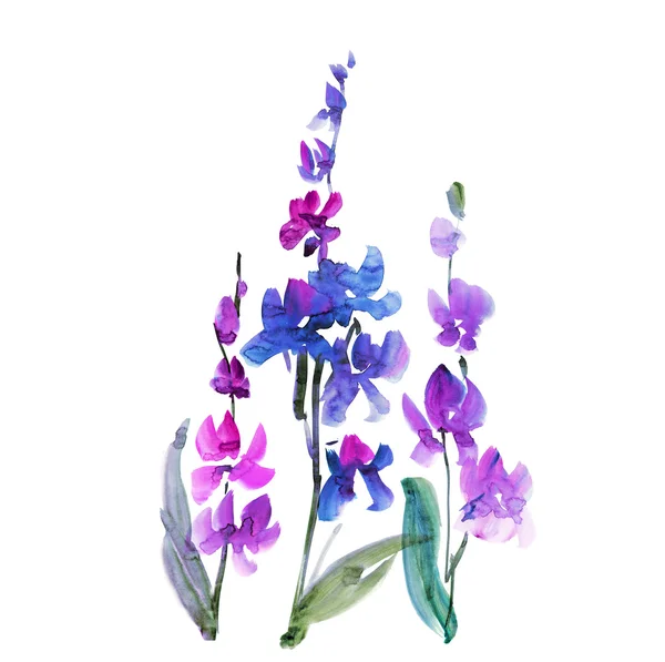 Hand drawn orchid flower. sketch floral watercolor illustration. — Stock Photo, Image