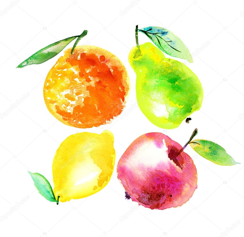 Watercolour apple and orange citrus fruit illustration. citrus n