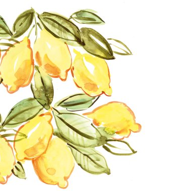İtalyan limon sulu boya resim