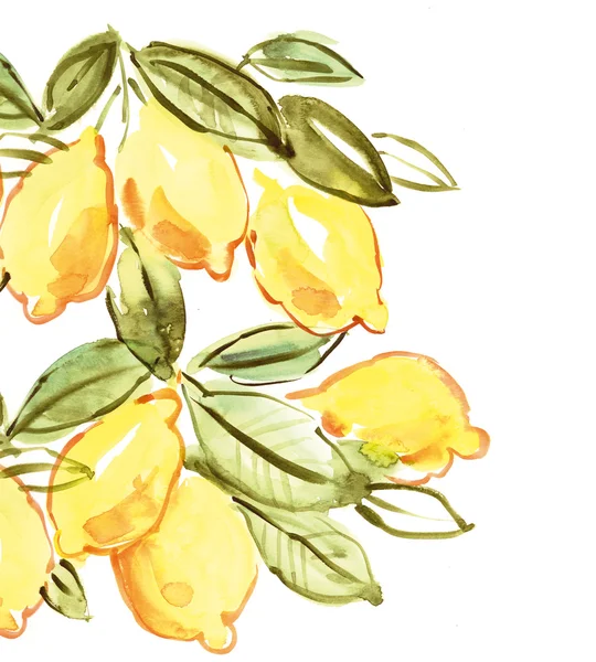 Illustration d'aquarelle citron italien — Photo