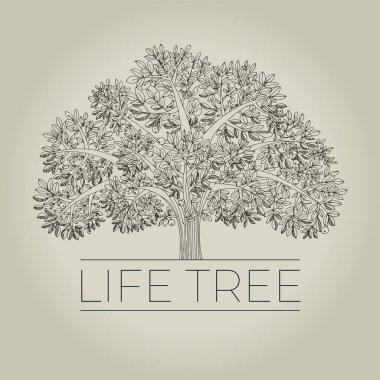 Kart, başlık, davetiye, poster, sosyal medya yayınları için elmalı aile ağacı. Kocaman güçlü ağaç olan vektör posteri.  