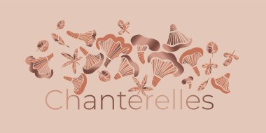 Zarif dekoratif Chanterelle menü başlığı. Kart, başlık, davet, poster, sosyal medya, post yayın için sonbahar mantarları tasarım ögesi