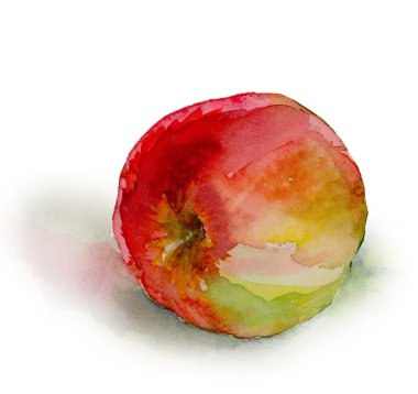 Kırmızı elma sulu boya resim
