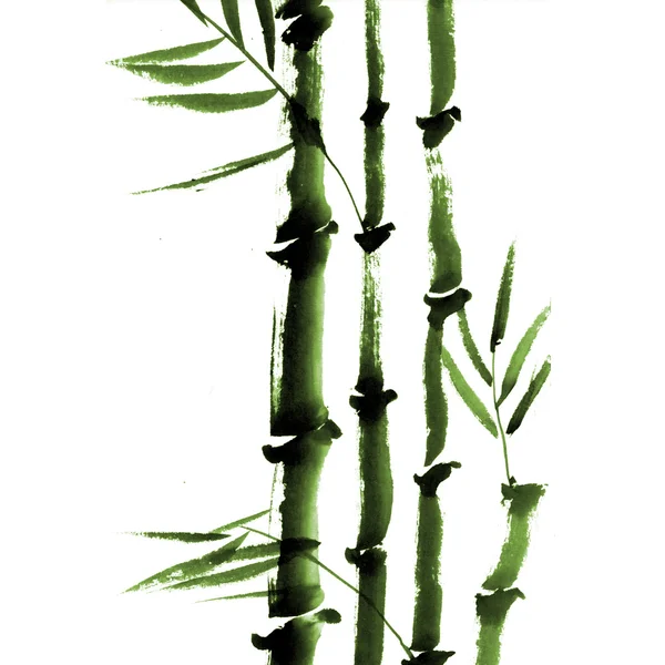 Ink bamboo painting on white background — Stock Photo, Image