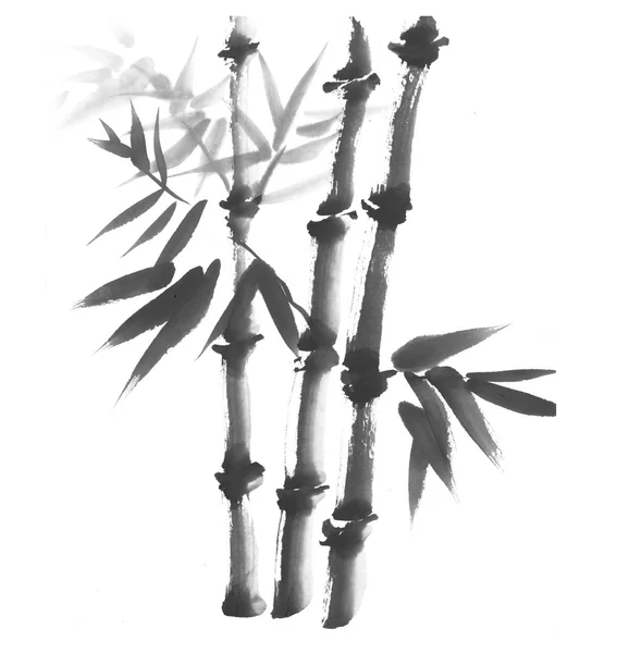 Ink bamboo painting on white background — Stock Photo, Image