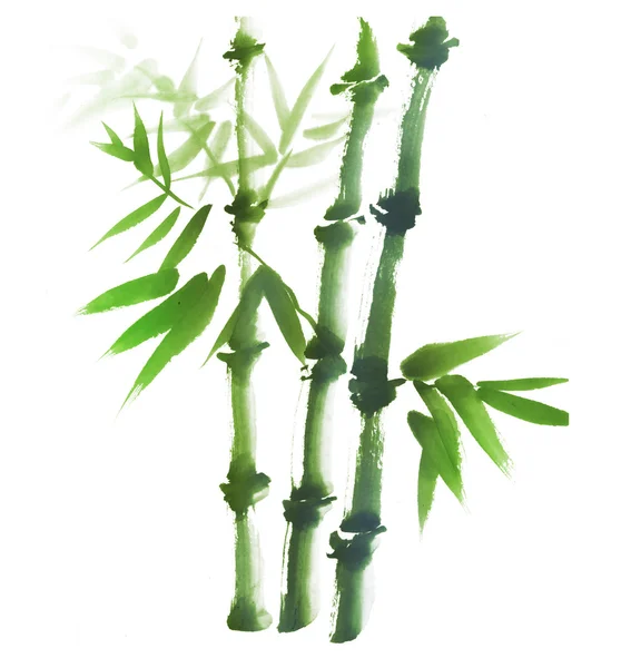Tusche Bambusmalerei auf weißem Hintergrund — Stockfoto