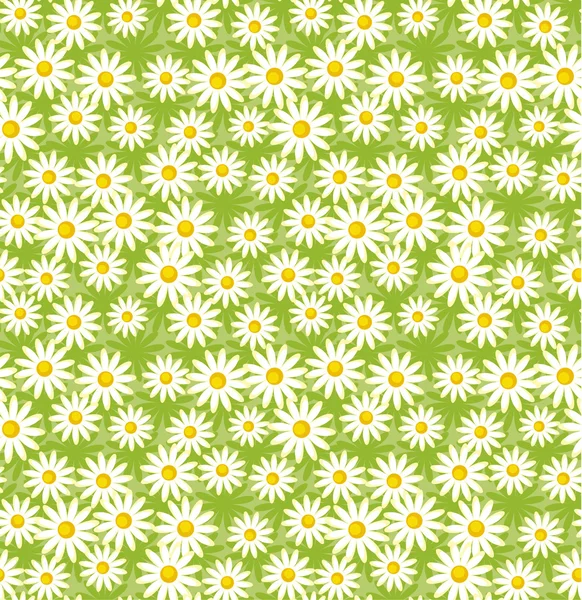 Camomile simple classic vector pattern. seamless flower decoration. — Stock vektor