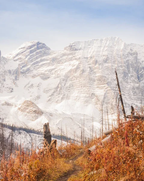 Der Floe Lake Wanderweg Herbst Kootenay Nationalpark Kanada — Stockfoto