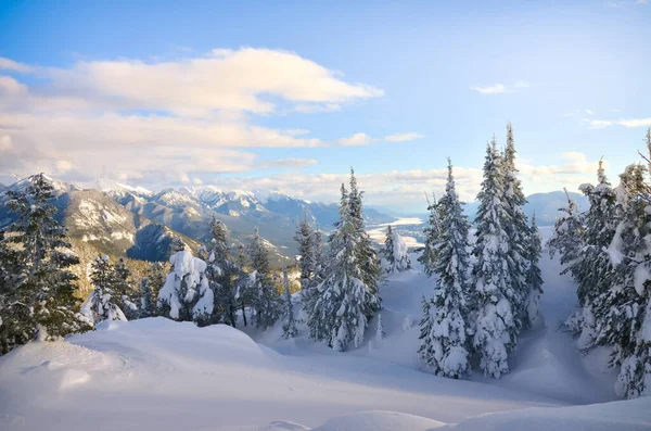 Winter Bergblick Mit Bäumen Der Kootenay Region Der Nähe Von — Stockfoto