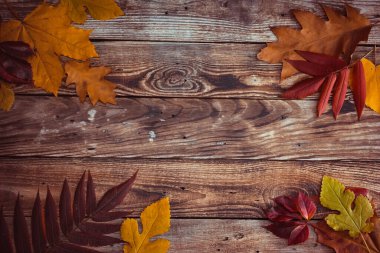 Tahta masadaki yaprak. Sonbahar sonbahar gebeliği