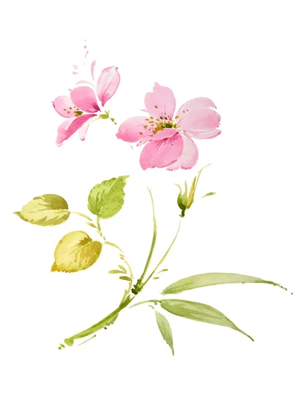 手绘图的鲜花 — 图库照片