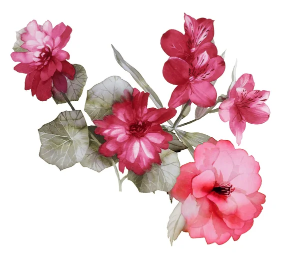 Ruční kreslení květin — Stock fotografie