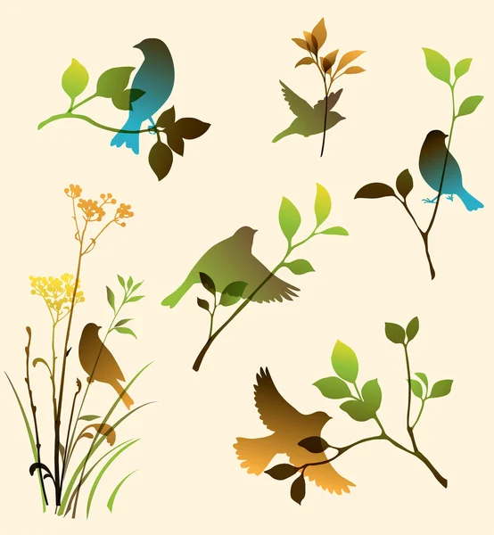 Coloridas aves y ramitas — Vector de stock