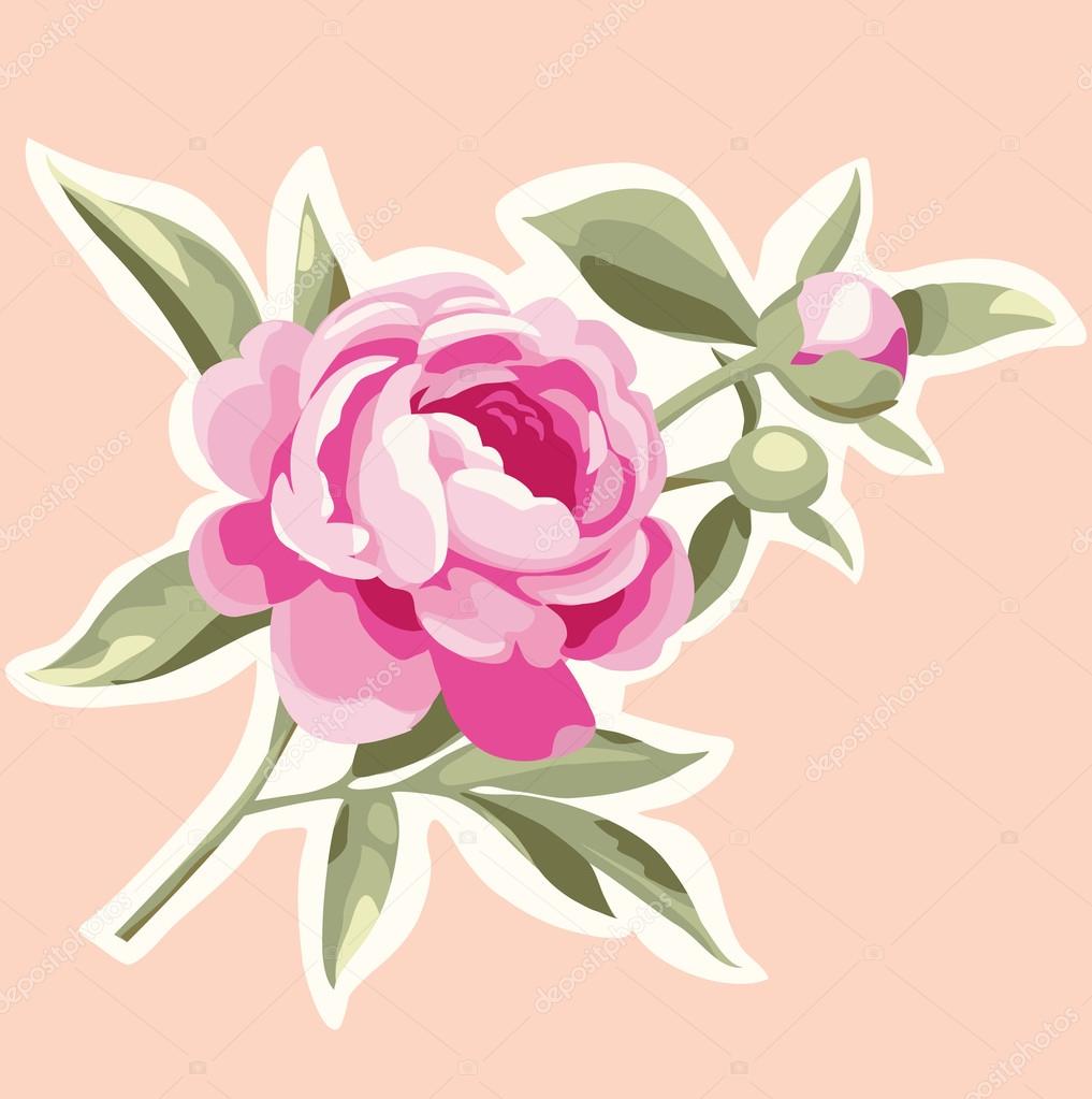 美しい花の画像 ユニーク牡丹 イラスト 簡単