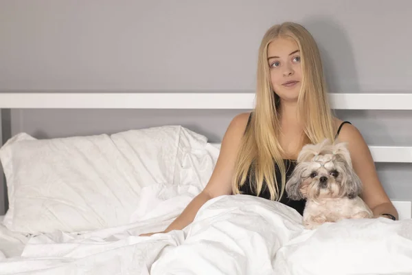 Hermosa rubia con un cachorro shih-tzu en la cama con sábanas blancas. personas bonitas y mascotas en aislamiento —  Fotos de Stock
