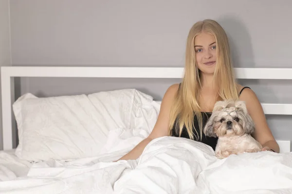 Hermosa rubia con un cachorro shih-tzu en la cama con sábanas blancas. personas bonitas y mascotas en aislamiento —  Fotos de Stock