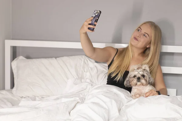 beautiful blonde with a puppy shih-tzu and a phone on bed with white sheets. pretty people and pets on isolation
