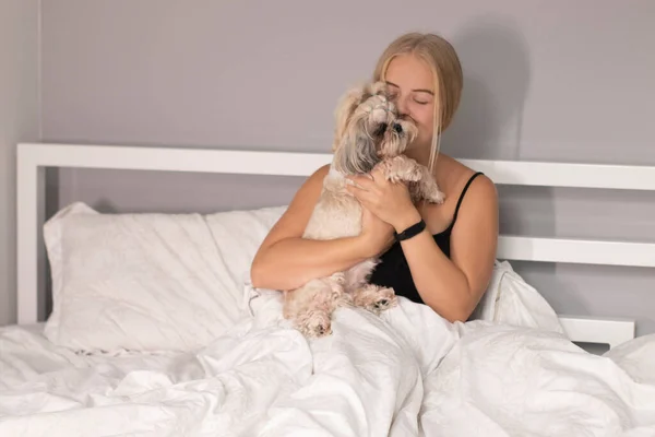 beautiful blonde with a puppy shih-tzu on bed with white sheets. pretty people and pets on isolation