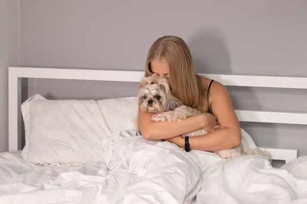 Beyaz çarşaflı köpek yavrusu Shih-tzu ile güzel bir sarışın. Güzel insanlar ve evcil hayvanlar tecrit altında — Stok fotoğraf