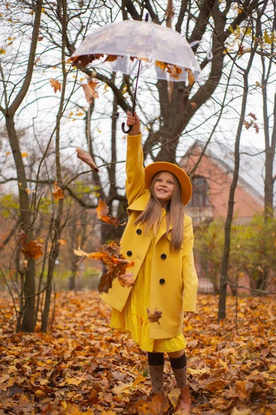 オレンジ色の帽子 ドレス コートのかわいい十代のブルネットの女の子は 彼女の上に落ち葉を持つ透明な傘を持っています 美人秋 — ストック写真