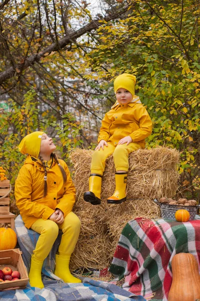 Menino Feliz Bonito Uma Menina Irmão Irmã Trajes Amarelos Idênticos — Fotografia de Stock