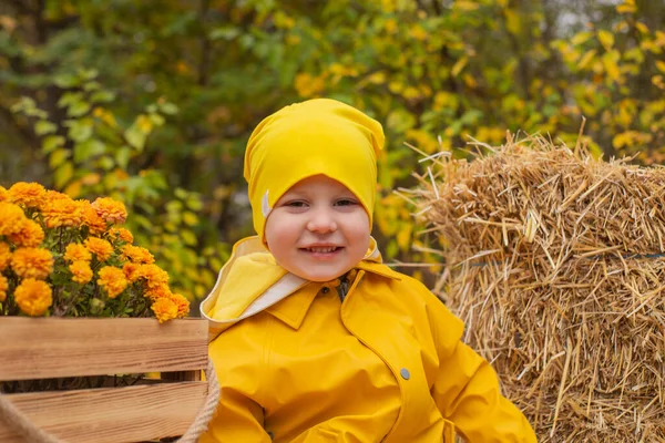 Lindo Niño Prescholer Hermosa Pantalón Naranja Impermeable Sombrero Botas Goma —  Fotos de Stock