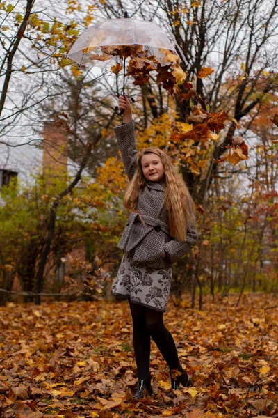 グレーのコートを着た可愛い10代のブルネットの女の子が彼女の上に落ち葉を持つ透明な傘を持っています 美人秋 — ストック写真