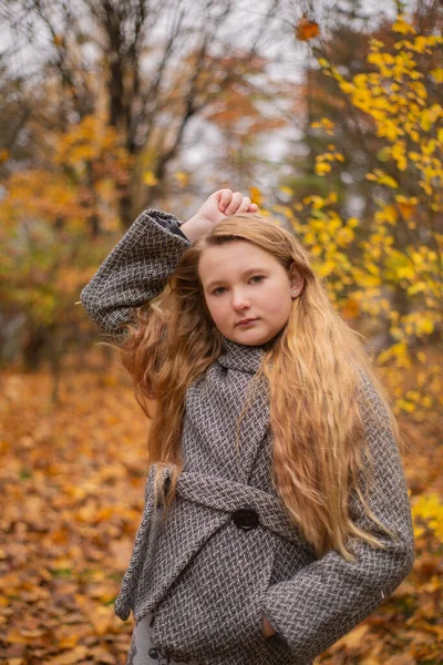 Portret Van Schattig Brunette Tienermeisje Grijze Jas Het Herfstbos Gezelligheid — Stockfoto