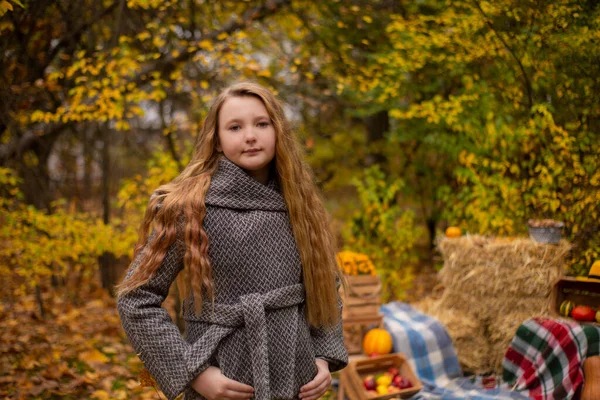 가을철에 가까운 코트를 귀여운 갈색의 그것이다 원기왕성 — 스톡 사진