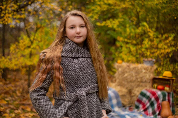 Χαριτωμένο Μελαχρινή Έφηβος Κορίτσι Γκρι Παλτό Κοντά Στο Φθινόπωρο Στοιχεία — Φωτογραφία Αρχείου