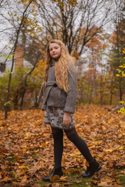 Portret Van Schattig Brunette Tienermeisje Grijze Jas Het Herfstbos Gezelligheid — Stockfoto