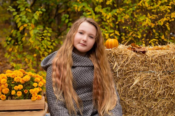 秋の要素の装飾の近くに灰色のコートのかわいいブルネットの10代の女の子 カボチャ リンゴ 干し草 美人秋 — ストック写真