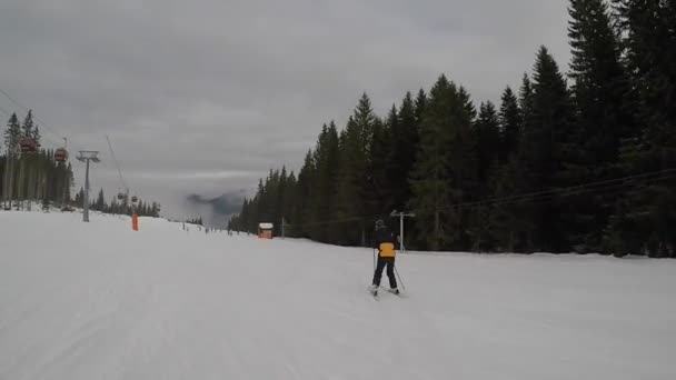 Skiing Ski Resort Winter Vacation Weekends Holidays Snow Capped Mountains — Vídeo de stock