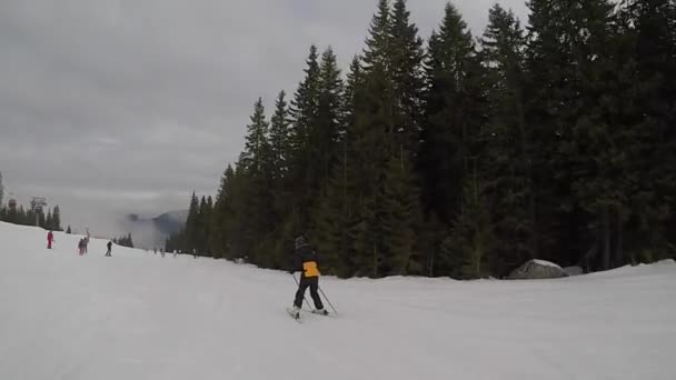 Esqui Estância Esqui Férias Inverno Feriados Fins Semana Montanhas Cobertas — Vídeo de Stock